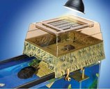 Above-Tank Basking Platform and Dock